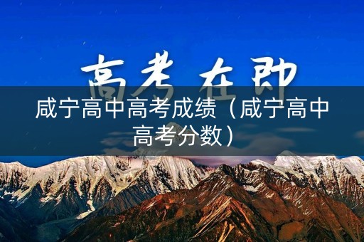咸宁高中高考成绩（咸宁高中高考分数）
