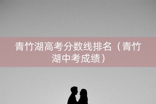 青竹湖高考分数线排名（青竹湖中考成绩）