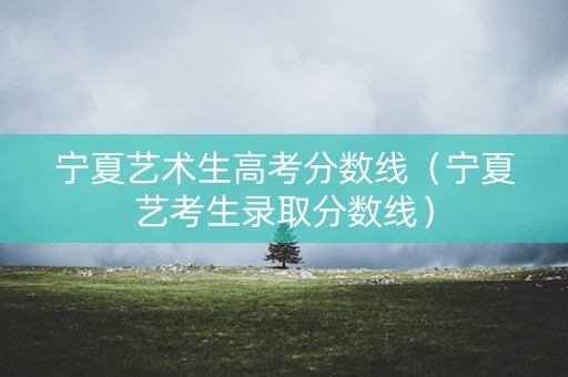 宁夏艺术生高考分数线（宁夏艺考生录取分数线）