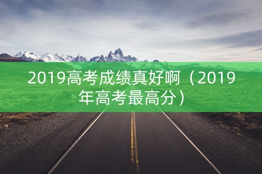2019高考成绩真好啊（2019年高考最高分）