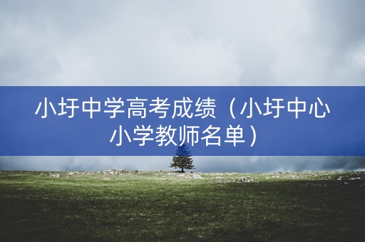 小圩中学高考成绩（小圩中心小学教师名单）