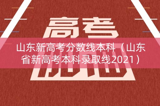 山东新高考分数线本科（山东省新高考本科录取线2021）