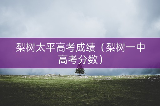 梨树太平高考成绩（梨树一中高考分数）