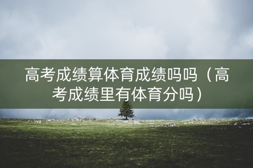 高考成绩算体育成绩吗吗(高考成绩里有体育分吗) 高考成绩算体育成绩吗吗(高考成绩里有体育分吗)