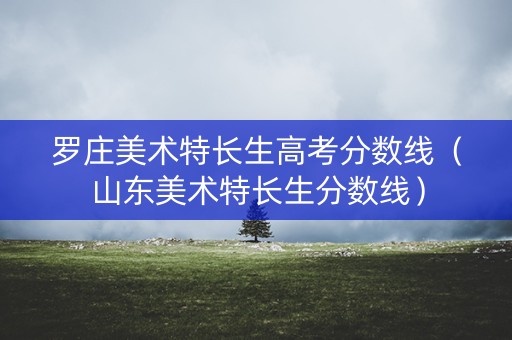 罗庄美术特长生高考分数线（山东美术特长生分数线）