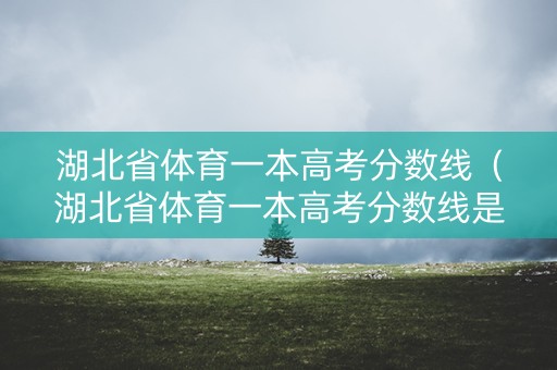 湖北省体育一本高考分数线（湖北省体育一本高考分数线是多少）