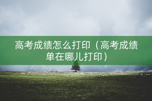 高考成绩怎么打印(高考成绩单在哪儿打印) 高考成绩怎么打印(高考成绩单在哪儿打印)