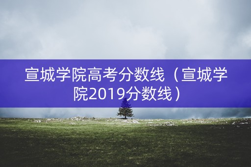 宣城学院高考分数线（宣城学院2019分数线）