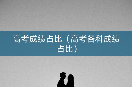 高考成绩占比（高考各科成绩占比）