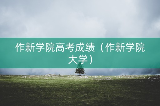 作新学院高考成绩（作新学院大学）