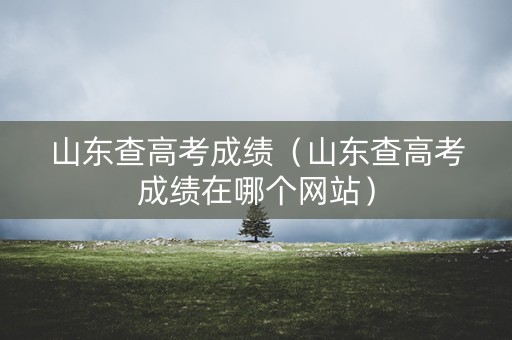 山东查高考成绩（山东查高考成绩在哪个网站）