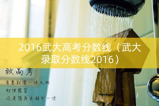2016武大高考分数线（武大录取分数线2016）