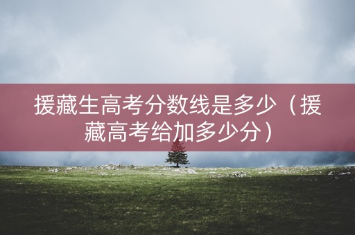 援藏生高考分数线是多少（援藏高考给加多少分）