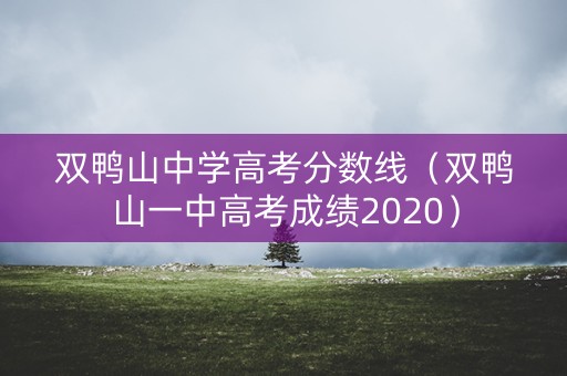双鸭山中学高考分数线（双鸭山一中高考成绩2020）