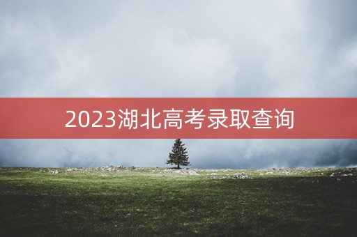2023湖北高考录取查询 2023湖北高考录取查询