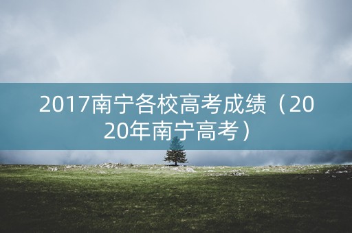 2017南宁各校高考成绩(2020年南宁高考) 2017南宁各校高考成绩(2020年南宁高考)