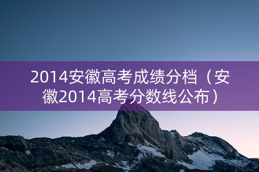 2014安徽高考成绩分档（安徽2014高考分数线公布）