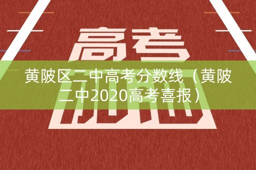 黄陂区二中高考分数线（黄陂二中2020高考喜报）