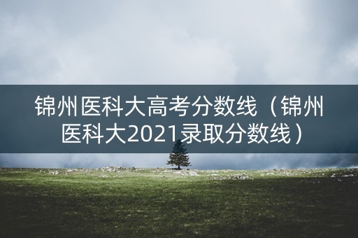 锦州医科大高考分数线（锦州医科大2021录取分数线）