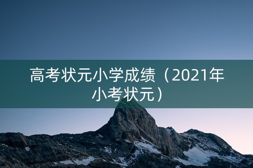 高考状元小学成绩（2021年小考状元）