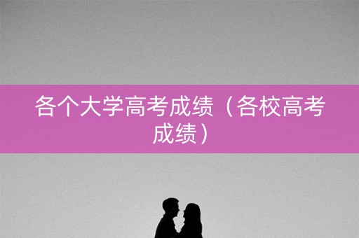 各个大学高考成绩（各校高考成绩）