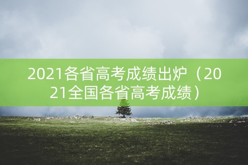 2021各省高考成绩出炉（2021全国各省高考成绩）
