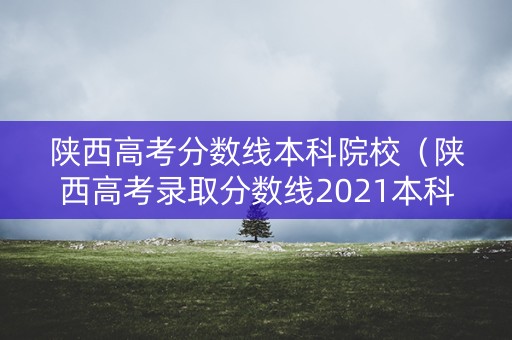 陕西高考分数线本科院校（陕西高考录取分数线2021本科一批分数线）