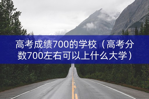 高考成绩700的学校（高考分数700左右可以上什么大学）