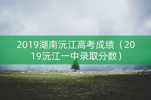 2019湖南沅江高考成绩（2019沅江一中录取分数）