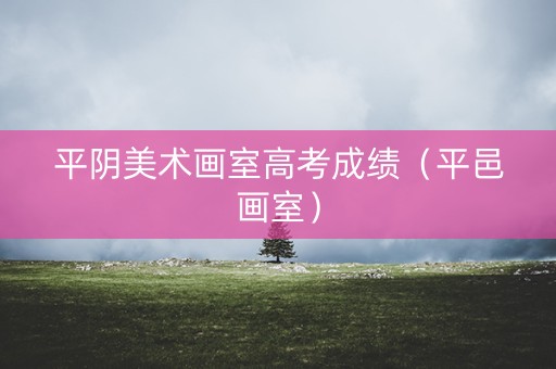 平阴美术画室高考成绩（平邑画室）