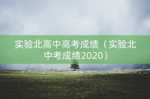 实验北高中高考成绩（实验北中考成绩2020）