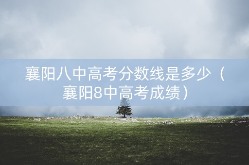 襄阳八中高考分数线是多少（襄阳8中高考成绩）