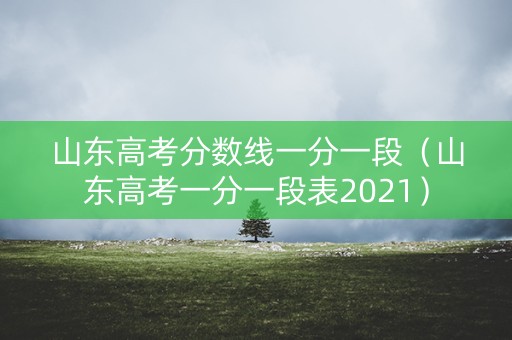 山东高考分数线一分一段（山东高考一分一段表2021）