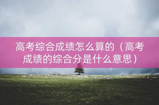 高考综合成绩怎么算的（高考成绩的综合分是什么意思）