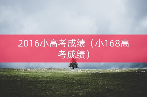 2016小高考成绩(小168高考成绩) 2016小高考成绩(小168高考成绩)