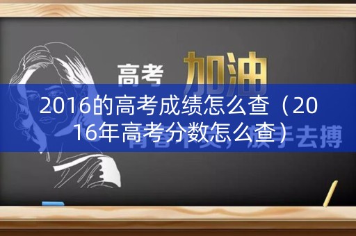 2016的高考成绩怎么查（2016年高考分数怎么查）