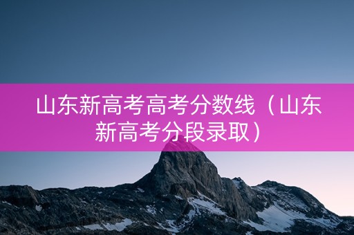 山东新高考高考分数线（山东新高考分段录取）
