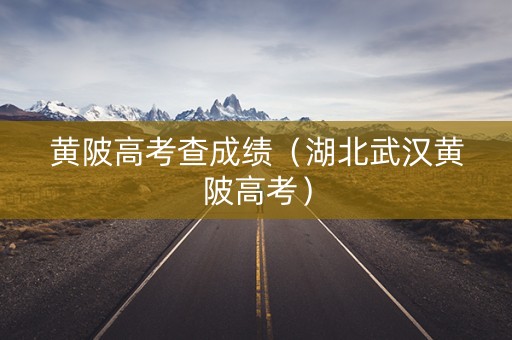 黄陂高考查成绩（湖北武汉黄陂高考）