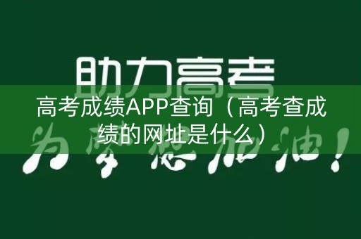 高考成绩APP查询（高考查成绩的网址是什么）