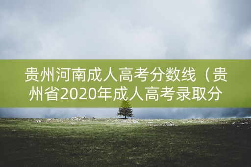 贵州河南成人高考分数线（贵州省2020年成人高考录取分数线）