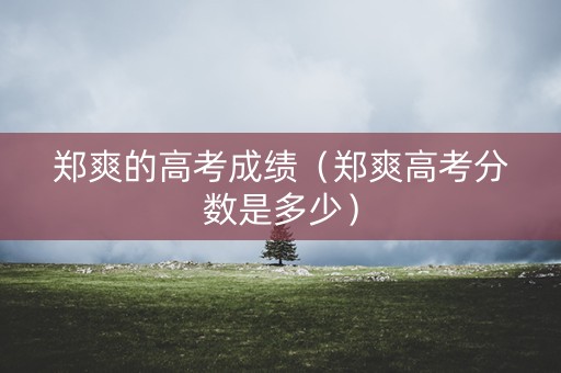 郑爽的高考成绩（郑爽高考分数是多少）