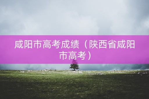 咸阳市高考成绩（陕西省咸阳市高考）