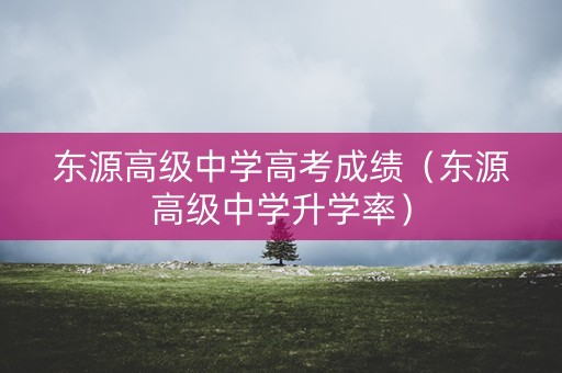 东源高级中学高考成绩（东源高级中学升学率）