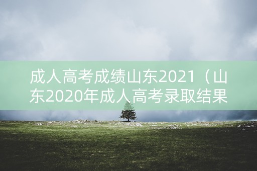成人高考成绩山东2021（山东2020年成人高考录取结果查询）