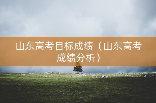 山东高考目标成绩（山东高考成绩分析）
