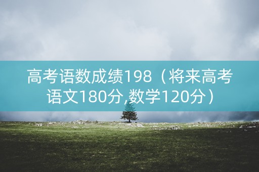 高考语数成绩198（将来高考语文180分,数学120分）