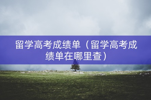 留学高考成绩单（留学高考成绩单在哪里查）