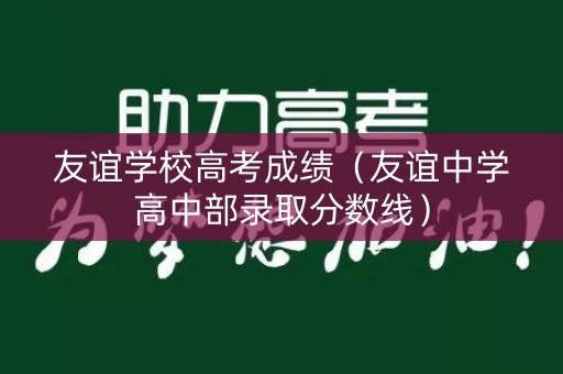 友谊学校高考成绩（友谊中学高中部录取分数线）