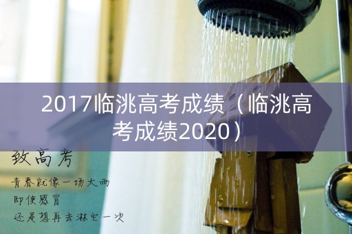 2017临洮高考成绩（临洮高考成绩2020）