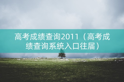 高考成绩查询2011（高考成绩查询系统入口往届）
